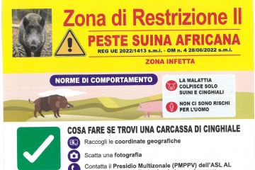 Peste suina africana - estensione della zona soggetta a restrizione II - Rossa
